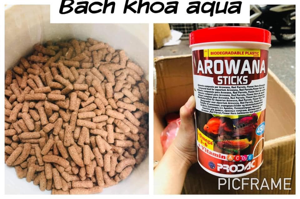 Thức ăn cá Rồng Prodac - Arowana Sticks ( 450g)